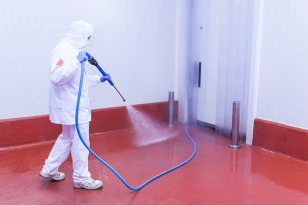 Best Restaurant Pressure Washing  in Elk Plain, WA