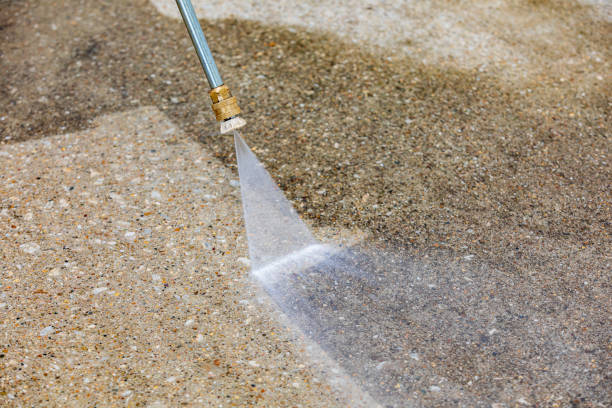 Best Patio and Deck Pressure Washing  in Elk Plain, WA
