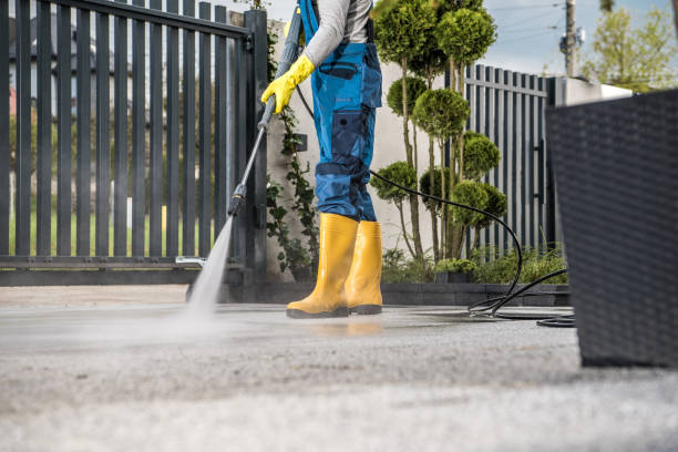 Best Patio and Deck Pressure Washing  in Elk Plain, WA